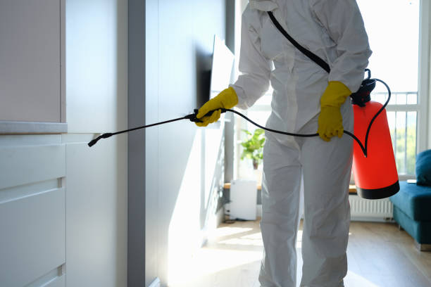 Best Attic Mold Removal  in Wadesboro, NC