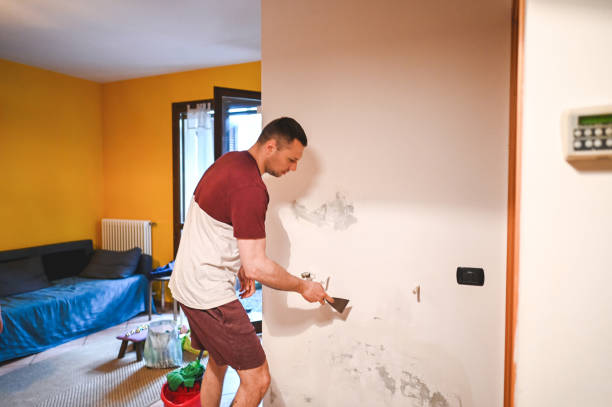 Reliable Wadesboro, NC Mold Removal Solutions